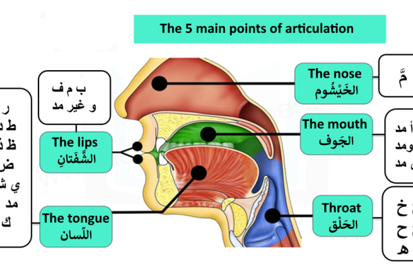 exit-points-of-letters-tajweed